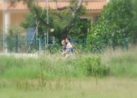 Zoom