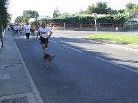 Zoom