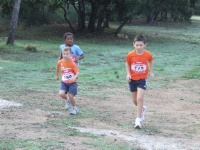Zoom