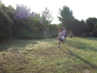 Zoom