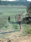 Zoom