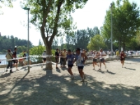 Zoom